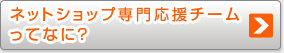 ネットショップ専門応援チーム ってなに?